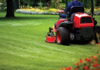 garden and ground maintenance