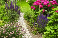 garden and ground maintenance